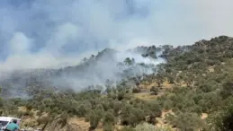 Aydın’da Tarım Arazisinde Yangın