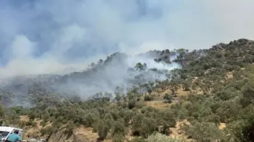 Aydın’da Tarım Arazisinde Yangın